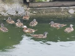 -杭州野生动物世界