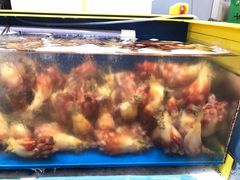 -西归浦每天偶来市场