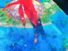 -珠海横琴国家地理探险家中心(创新方)