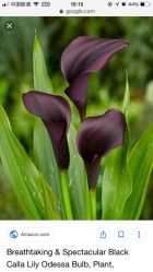 -飛凡TATTOO纹身•原创