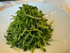 -洋洋中餐馆·SINCE 1997(信投店)