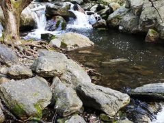-少华山国家森林公园