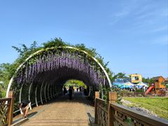 -同里国家湿地公园