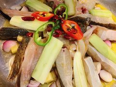 -新兴·金羊座·粤菜点心(乐峰店)