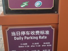 -迪士尼乐园停车场