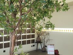-静耳元気采耳·按摩·SPA(万象前海店)