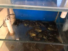 -秦记香辣蟹(松榆里店)