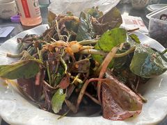 凉拌折耳根-老幺泉水鸡