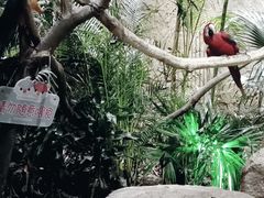 -杭州开元森泊度假乐园