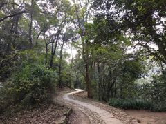 -西湖风景区十里琅珰-五云山