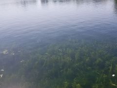 -后海公园