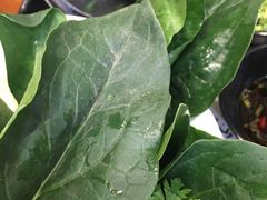 -八宝牛潮汕鲜牛肉火锅(净月店)