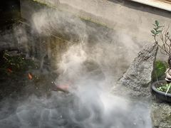 -王捌小院(红花坡店)