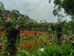 -深圳仙湖植物园