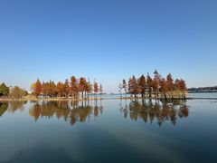 -贡湖湾湿地公园