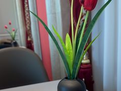 -红顶食府(滨湖九号店)