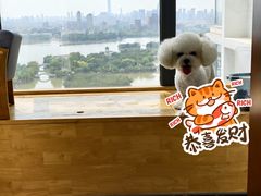 -瑞派宠物医院·犬猫全科·猫友好(宾水西道店)