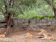 -北京野生动物园