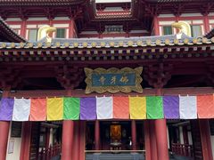 -新加坡佛牙寺龙华院