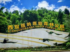 -西双版纳原始森林公园