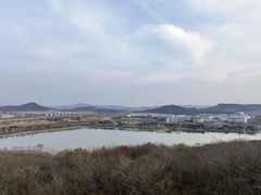 -羊山湖公园