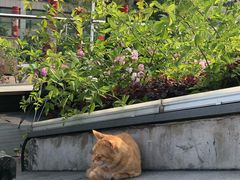 -UNI UNI(环亚凯瑟琳店)