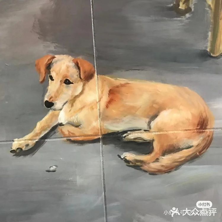 快来看看这种独特的墙绘艺术!