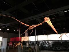 -墨尔本博物馆(Melbourne Museum)