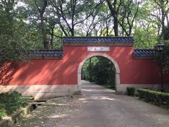 -灵谷景区