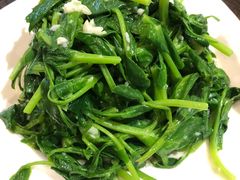 -锦庐道地川菜(来福士店)