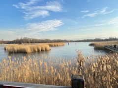 -野鸭湖国家湿地公园