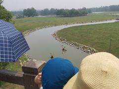 -北京麋鹿生态实验中心