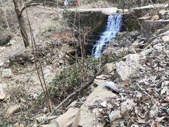 -素山寺森林公园