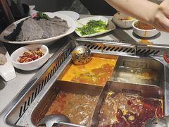 -海底捞火锅(吾悦广场店)