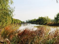 -漩门湾国家湿地公园