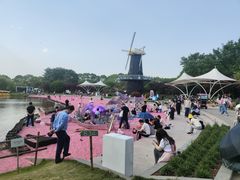 -上海鲜花港