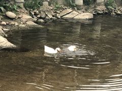 -北京水岸山吧度假村(雁栖镇店)