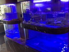 -雅苑中餐厅