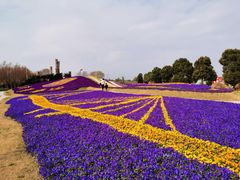 -南通洲际绿博园