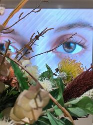 -云南吴氏嘉美医疗美容医院