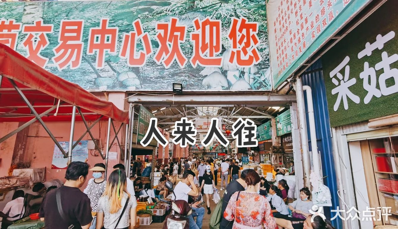 云南木水花野生菌市场买菌记