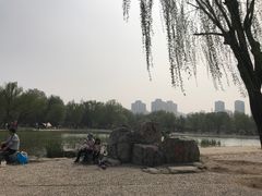 -太阳宫公园