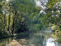 -溱湖国家湿地公园