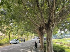 -风云岭森林公园