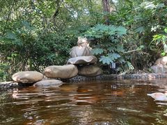-天目湖涵田半山温泉