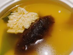 -梧桐