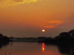 -贡湖湾湿地公园