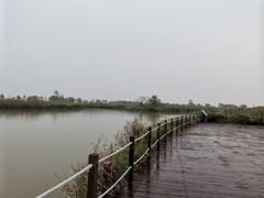 -盐城丹顶鹤湿地生态旅游区