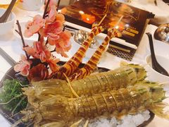 -鲜入围煮花胶鸡海鲜火锅