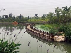 -嬉乐湾休闲旅游区